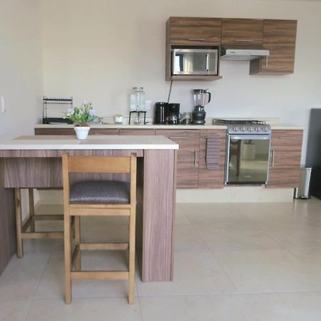 Departamento Tequis, Totalmente Nuevo En El Corazon De Slp Daire San Luis Potosí Dış mekan fotoğraf